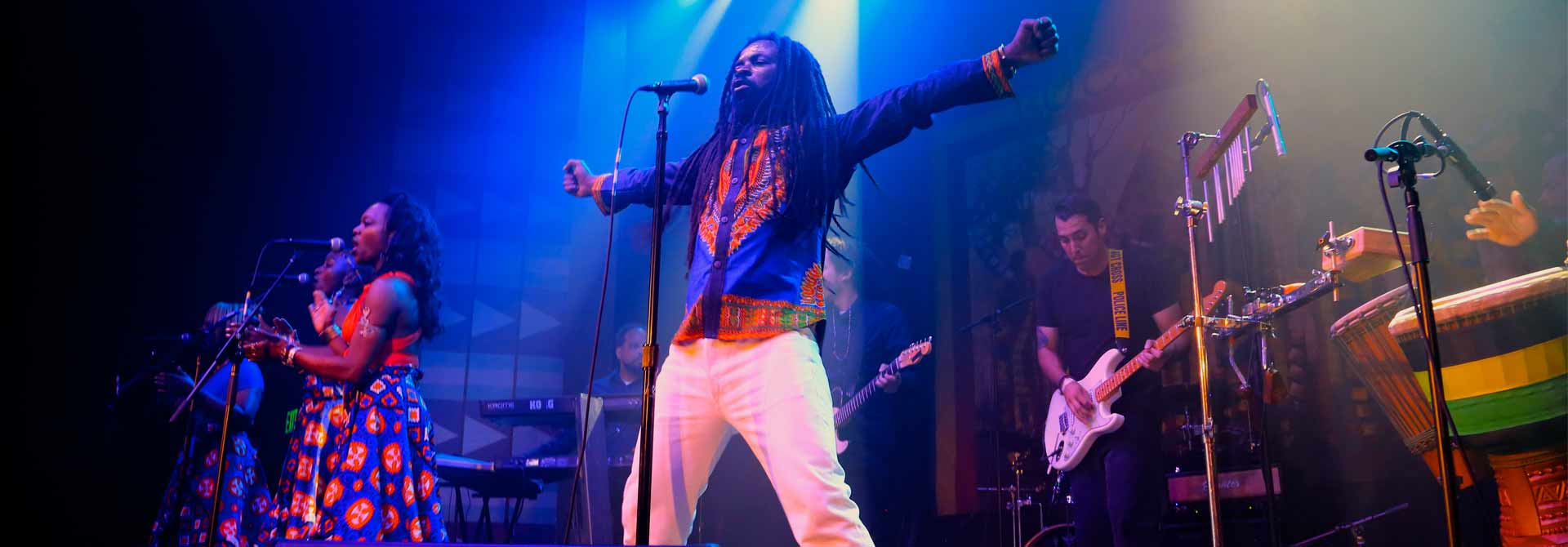 Afro Roots Artist Rocky Dawuni